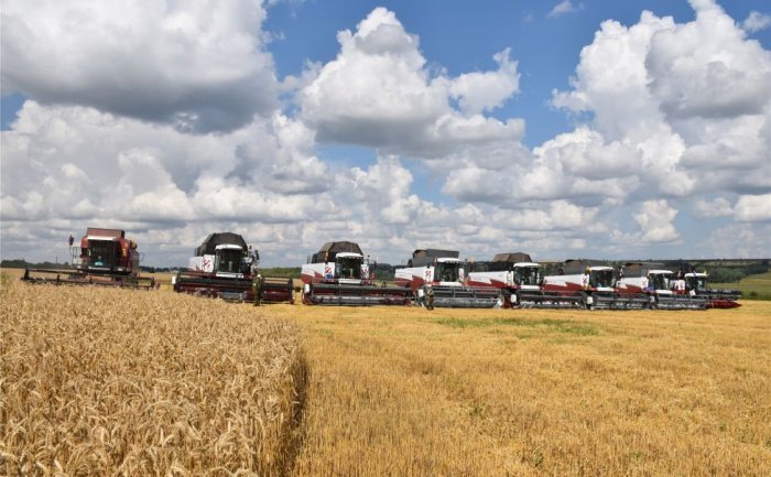 Аграриям Республики Чувашия осталось убрать незначительную часть рапса, основная страда завершена