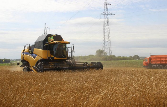 Сельхозпроизводители Республики Татарстан уже собрали более 640 тысяч тонн зерна