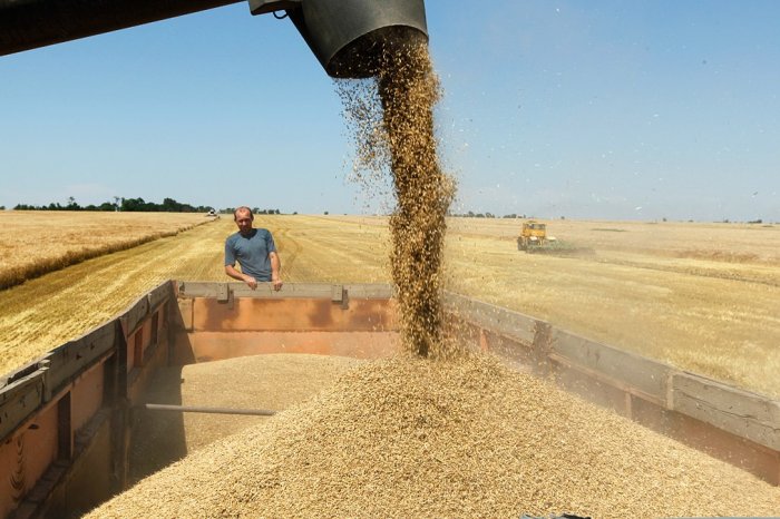 В Орловской области намолочено свыше 3,4 млн тонн зерна, продолжается уборка масличных культур