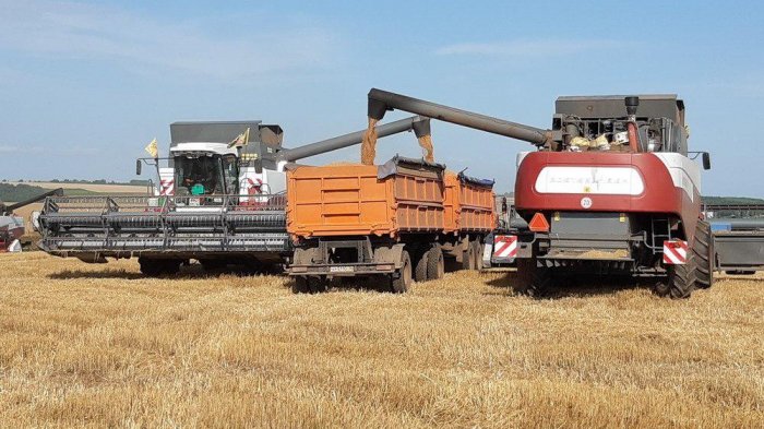 Посевная площадь зерновых и зернобобовых культур в Чувашии сократилась на 1,6%