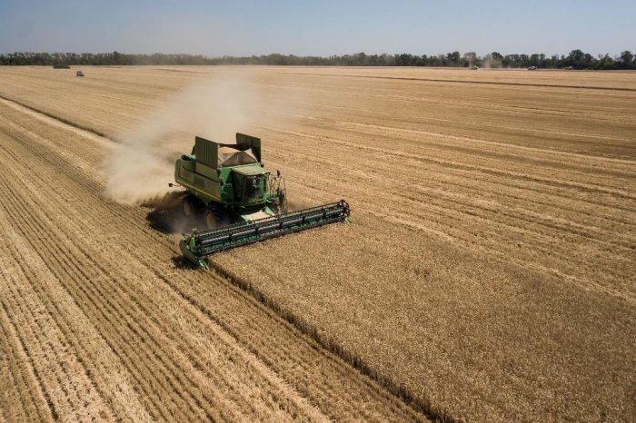 Аграрии Саратовской области с начала уборочной кампании 2021 года собрали с полей 32,3 тыс. тонн озимой пшеницы