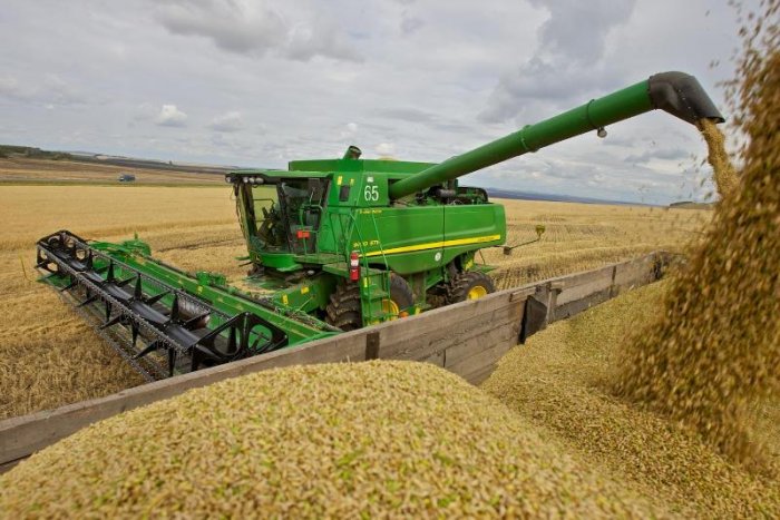 В Саратовской области спрогнозировали урожай в 6 млн тонн зерна, что на 9% выше уровня 2020 года