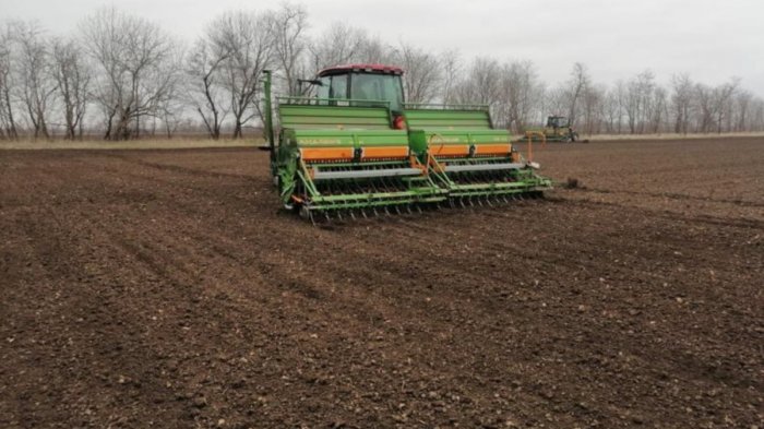 В Курской области в 2022 году яровыми культурами планируют засеять 1,1 млн гектаров