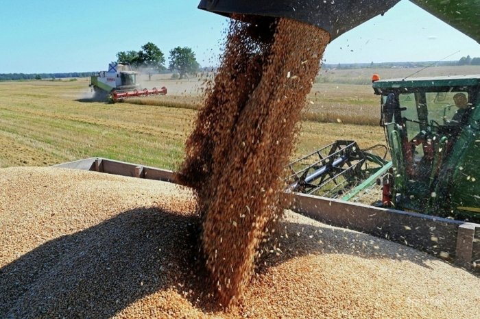 В Орловской области уже намолотили почти три миллиона тонн зерновых