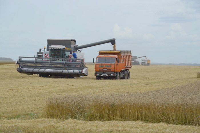 Производители зерновых в Ивановской области получат господдержку