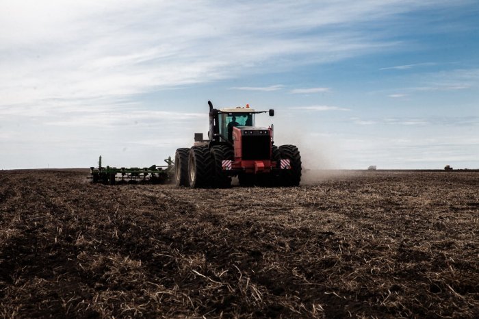 В Нижегородской области планируют засеять зерновыми культурами почти 626 тыс гектаров
