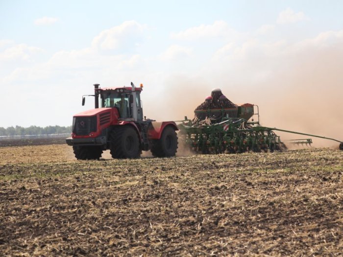 В Белгородской области завершилась посевная компания озимых культур