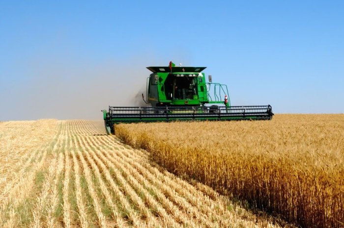 В Республике Чувашия реализуется 124 инвестпроектов в области агропромышленного комплекса на сумму более 3,5 млрд рублей