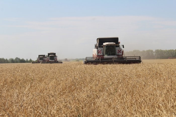 В Республике Башкирии уборка зерновых завершена на 95%