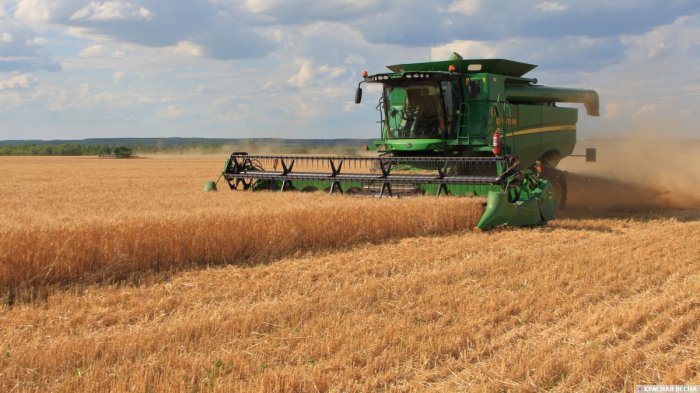 В Рязанской области убрано 2,4 млн тонн зерна