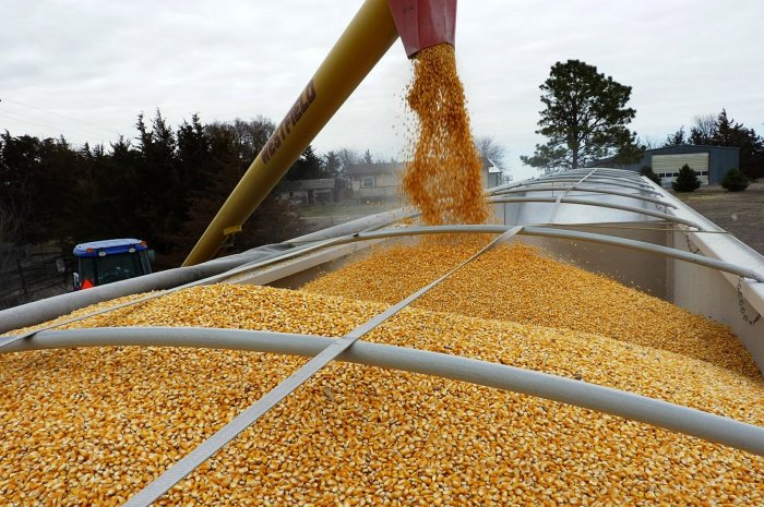 Украина увеличила импорт продуктов питания в 2021 году