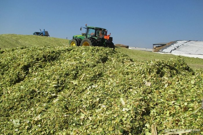 Во Владимирской области в трех районах стартовала сельхоззаготовка кормов