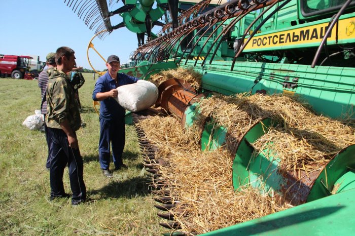 Аграрии Татарстана потеряли из-за недобора урожая 2021 года 28 млрд рублей