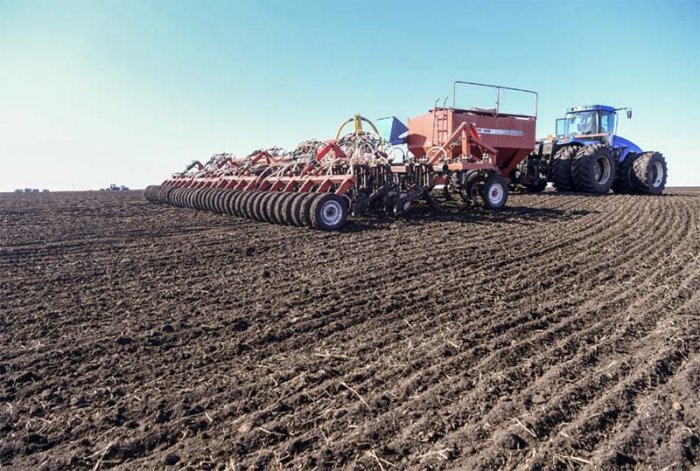 Площадь посевов в Воронежской области будет увеличена в текущем году