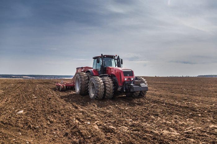 Курская область завершила сев озимых, сократив площадь посадки на 19%