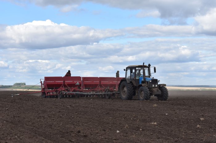 Сотрудники владимирского отделения Россельхозцентра провели обследование посевов озимых зерновых культур