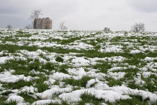 В Ярославской области есть риск гибели части посевов сельскохозяйственных культур