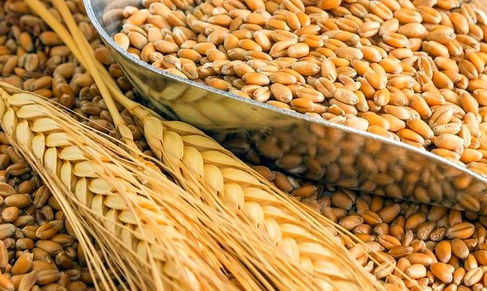 Цена распродаж на зерновых интервенциях с 2020-го года сможет быть ниже закупочной