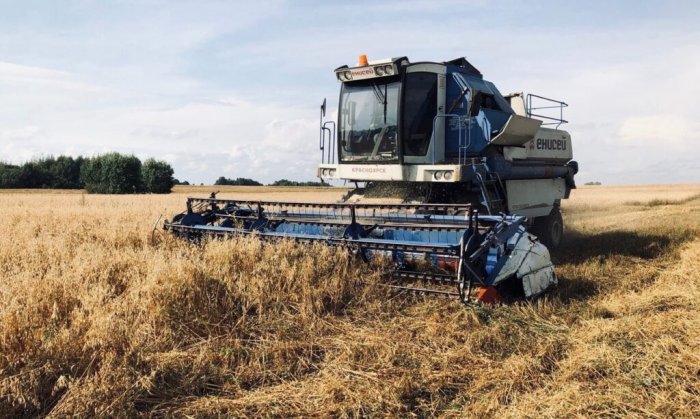 В Чувашии намолочено более 500 тыс. тонн зерна