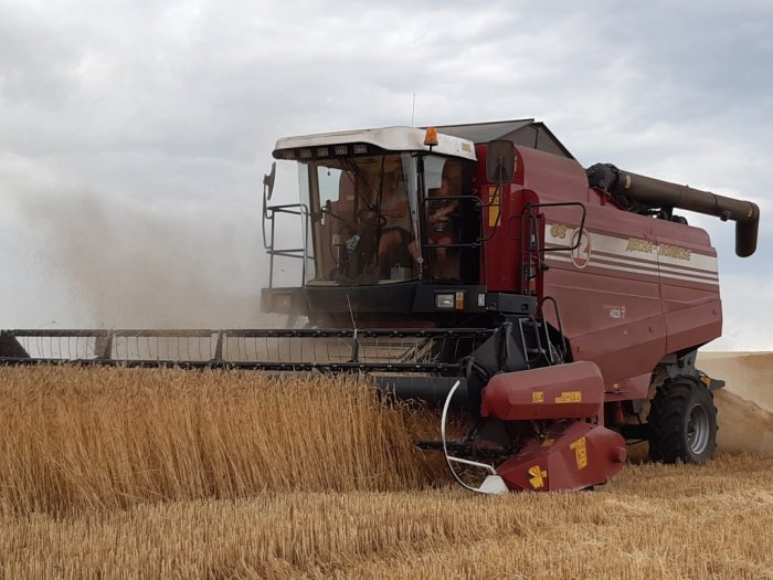 Агропроизводители Саратовской области собрали более 2,5 миллионов тонн зерна нового урожая