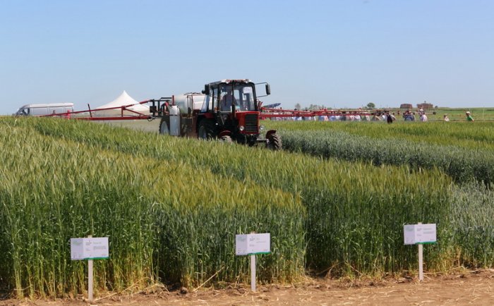 В Калужской области динамично развивается растениеводство