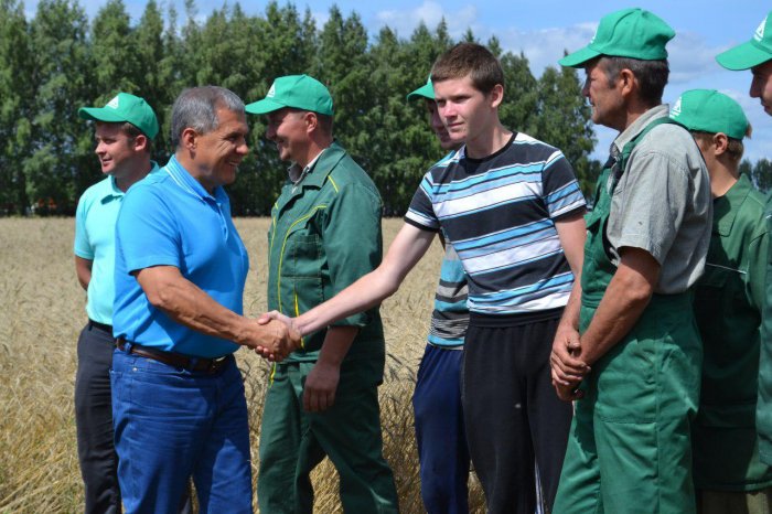 Сельхозпроизводство в Татарстане за 9 месяцев 2021 года из-за засухи упало почти на 12%